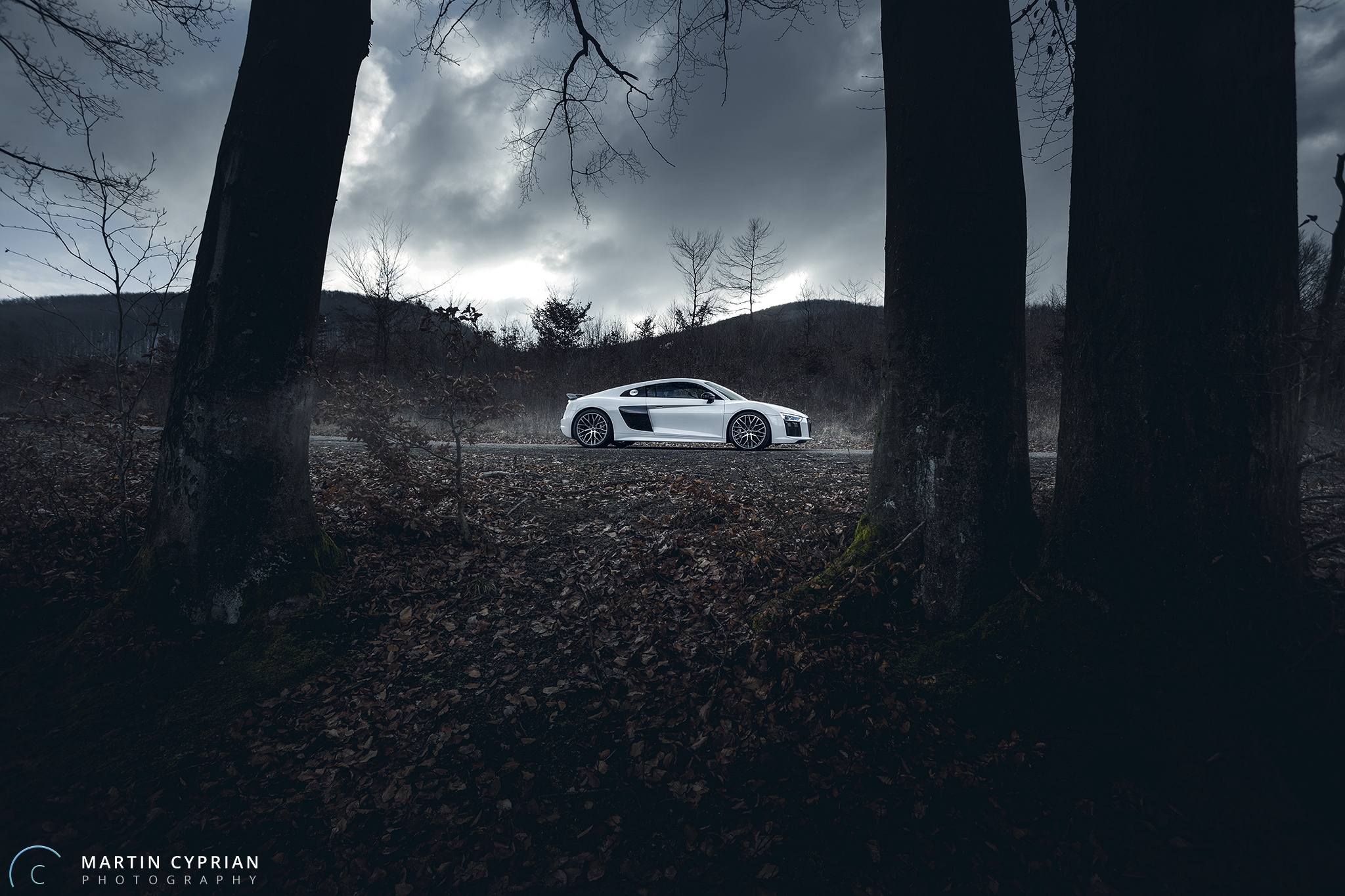 Audi R8 V10 Plus 2016 (2).jpg